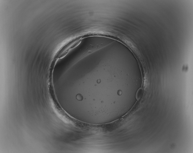 X0000113070438200909110944