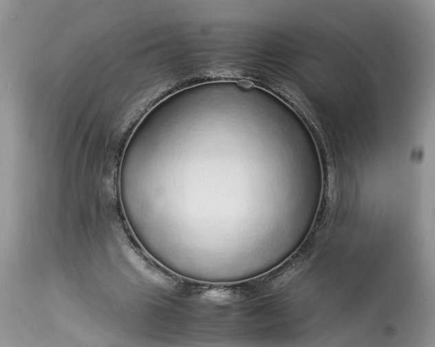 X0000113070441200909110944