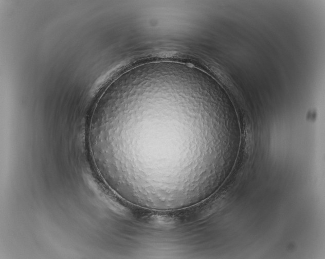 X0000113070442200909110944