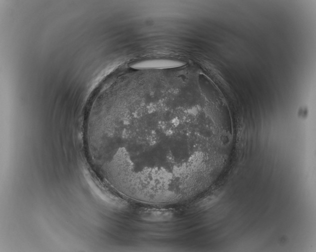 X0000113070443200909110944