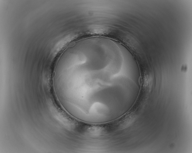 X0000113070444200909110944