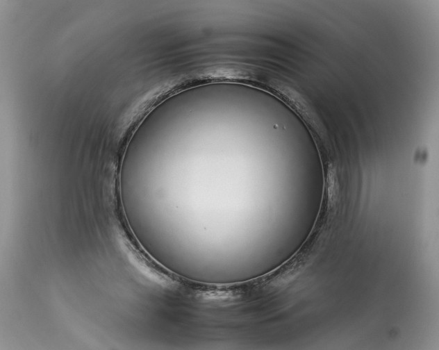 X0000113070445200909110944