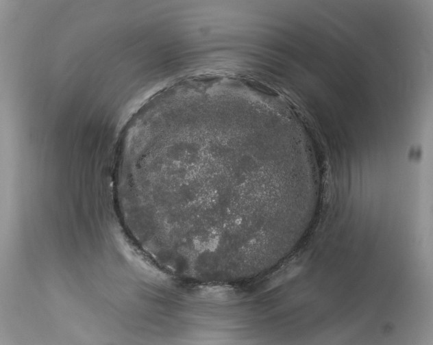 X0000113070446200909110944