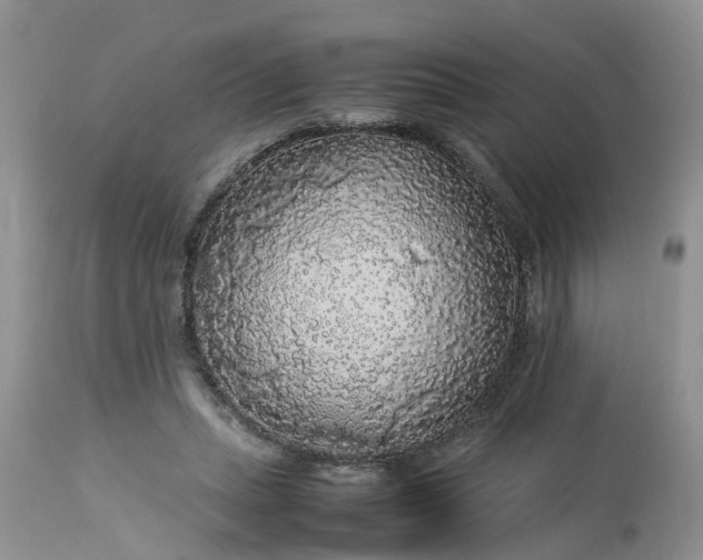 X0000113070447200909110944