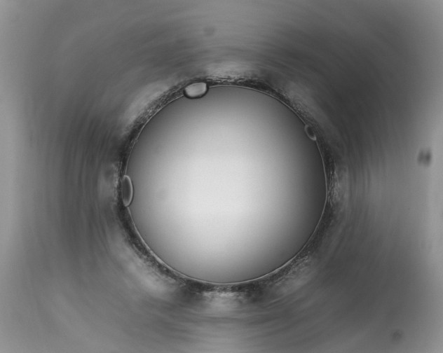 X0000113070448200909110944