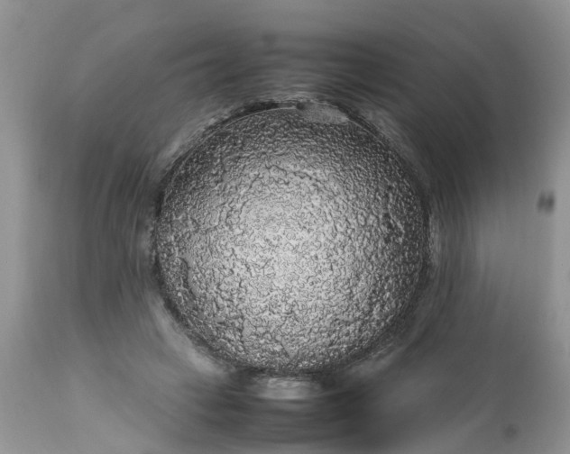 X0000113070449200909110944