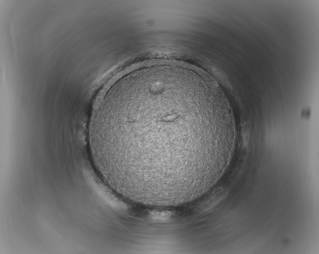 X0000113070450200909110944