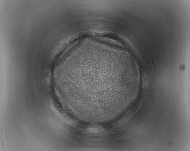 X0000113070451200909110944