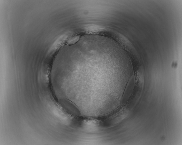 X0000113070452200909110944