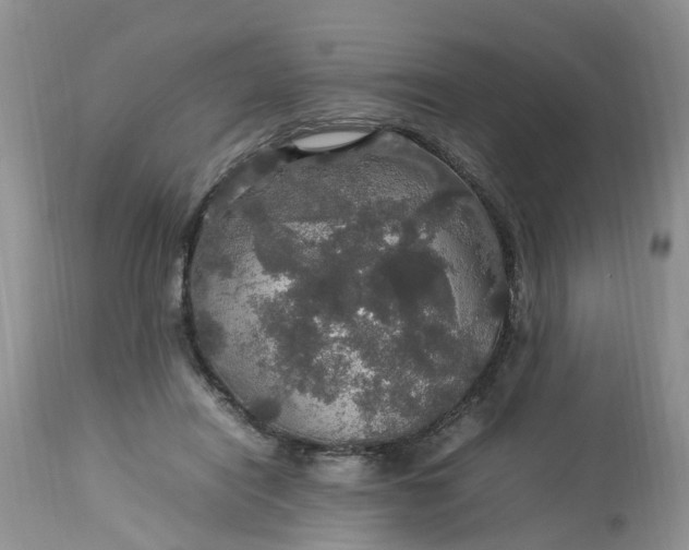 X0000113070454200909110944