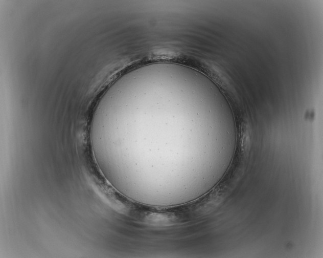 X0000113070455200909110944