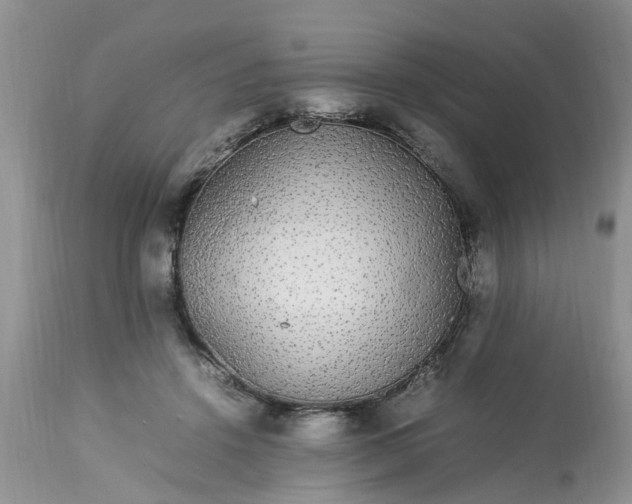 X0000113070456200909110944