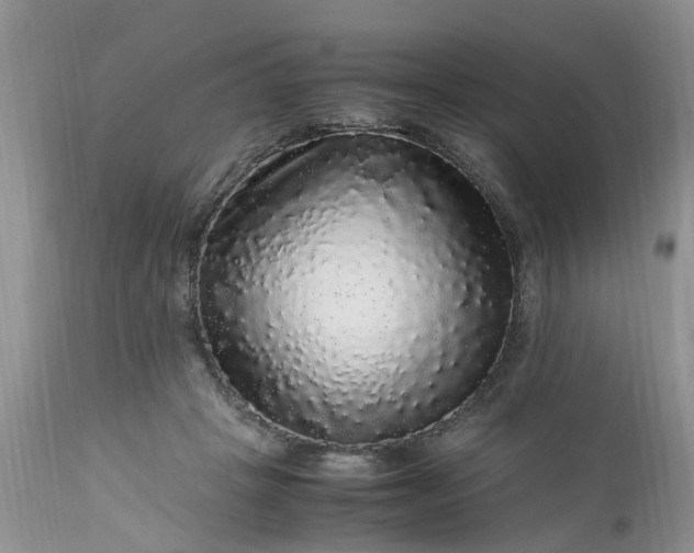 X0000113070457200909110944