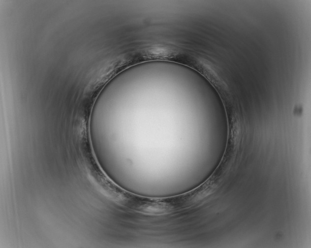 X0000113070459200909110944