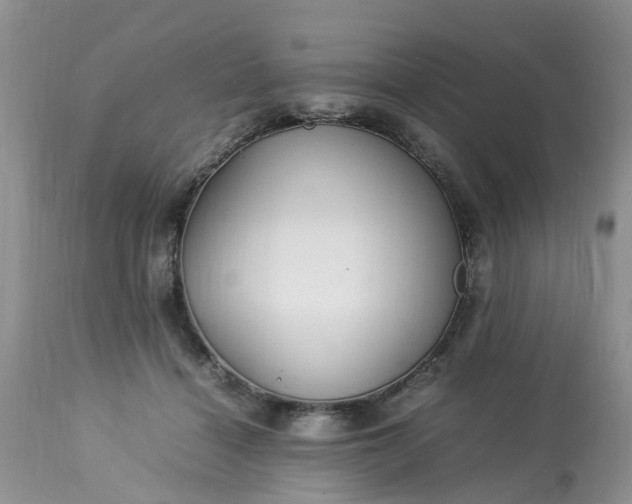 X0000113070460200909110944