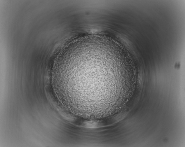 X0000113070461200909110944