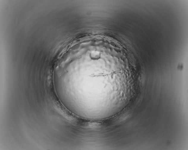 X0000113070462200909110944