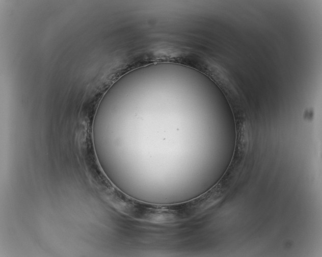 X0000113070463200909110944