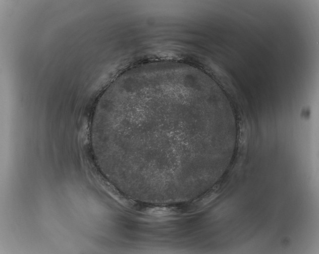 X0000113070465200909110944