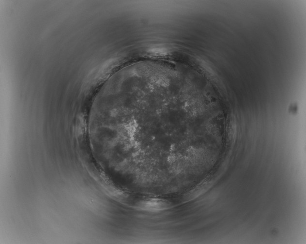 X0000113070467200909110944