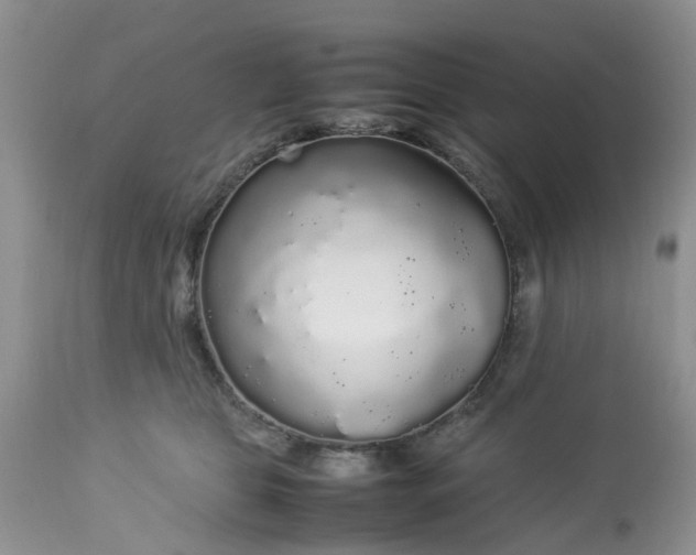 X0000113070469200909110944