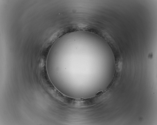 X0000113070472200909110944