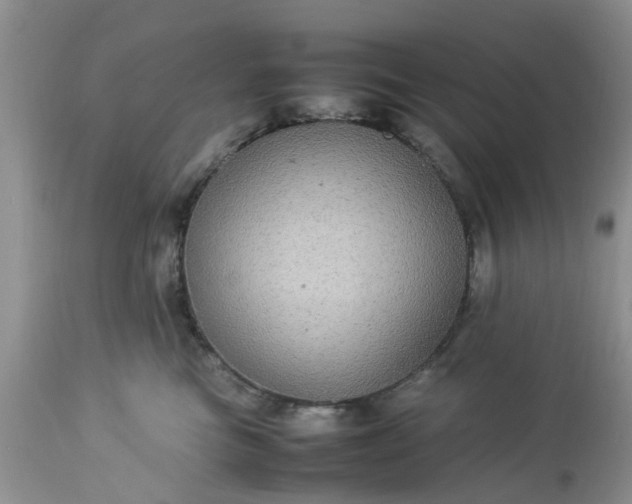 X0000113070473200909110944