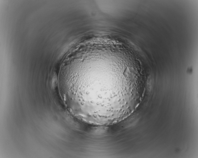 X0000113070474200909110944