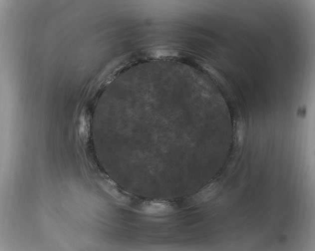 X0000113070475200909110944