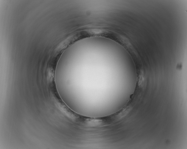 X0000113070476200909110944