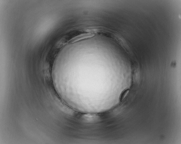 X0000113070477200909110944