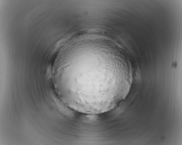 X0000113070478200909110944