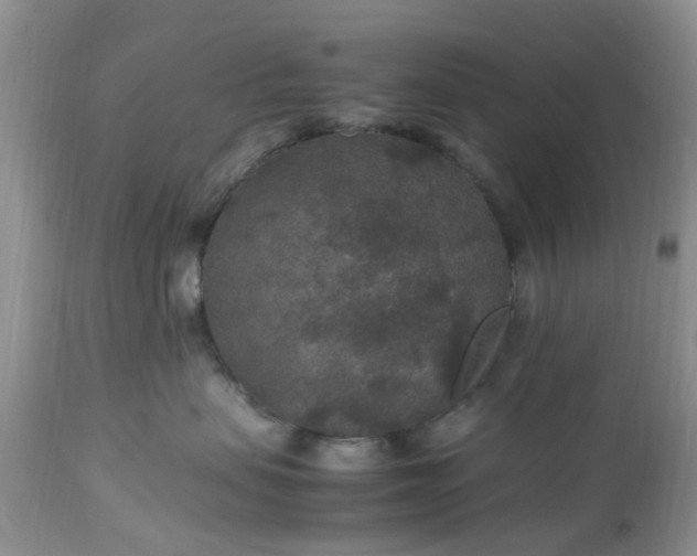 X0000113070479200909110944