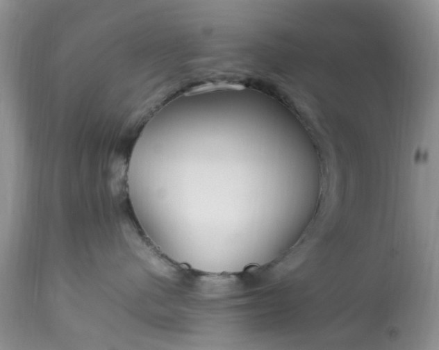 X0000113070480200909110944