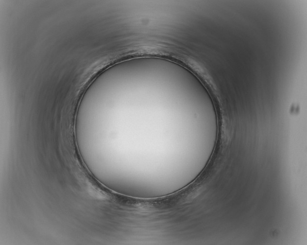 X0000113070481200909110944