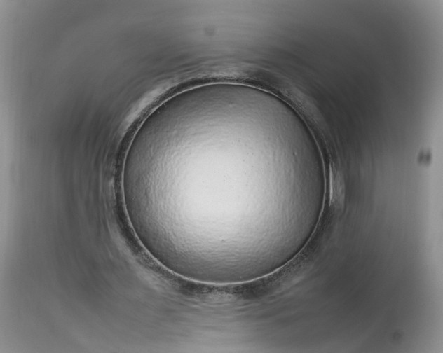 X0000113070483200909110944