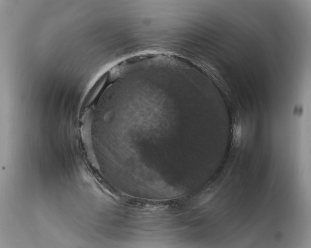 X0000113070484200909110944