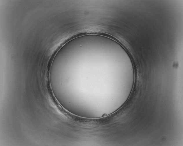 X0000113070485200909110944