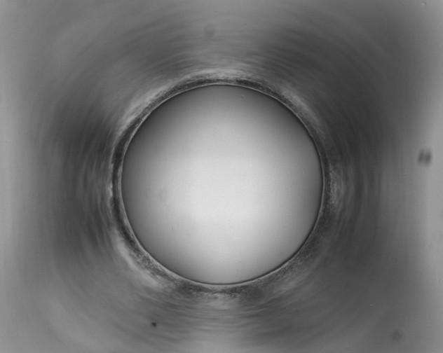 X0000113070486200909110944