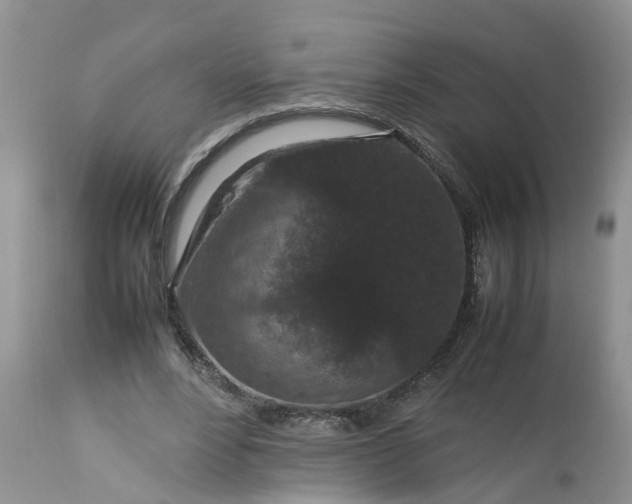 X0000113070488200909110944