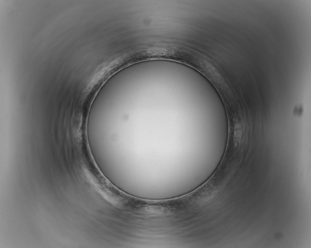 X0000113070490200909110944