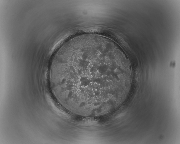 X0000113070491200909110944