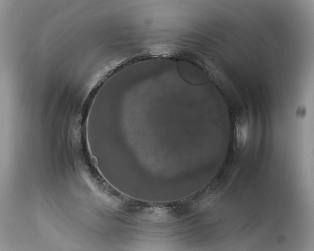 X0000113070492200909110944