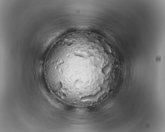 X0000113070495200909110943