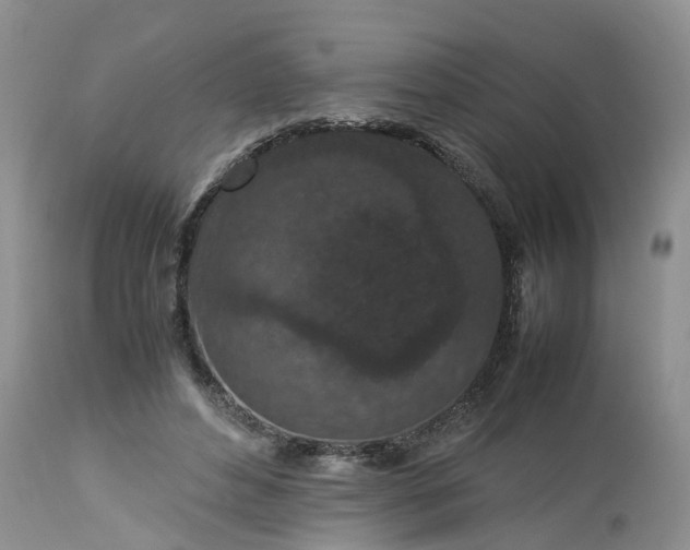 X0000113070496200909110943