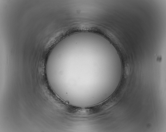 X0000113070497200909110943