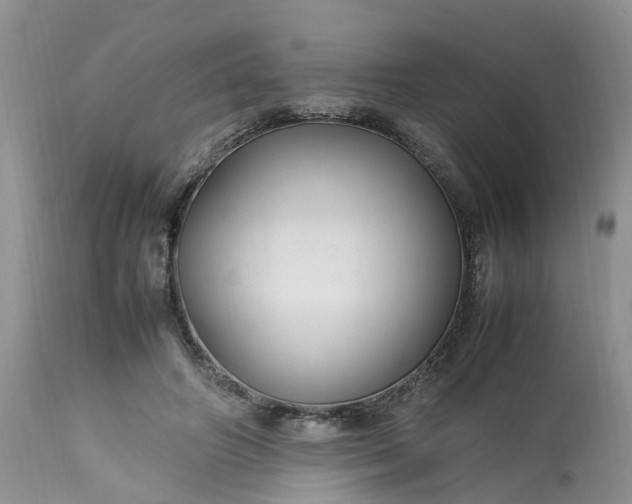 X0000113070498200909110943