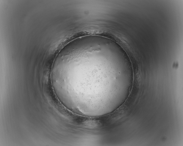 X0000113070499200909110943