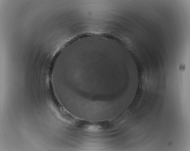 X0000113070500200909110943