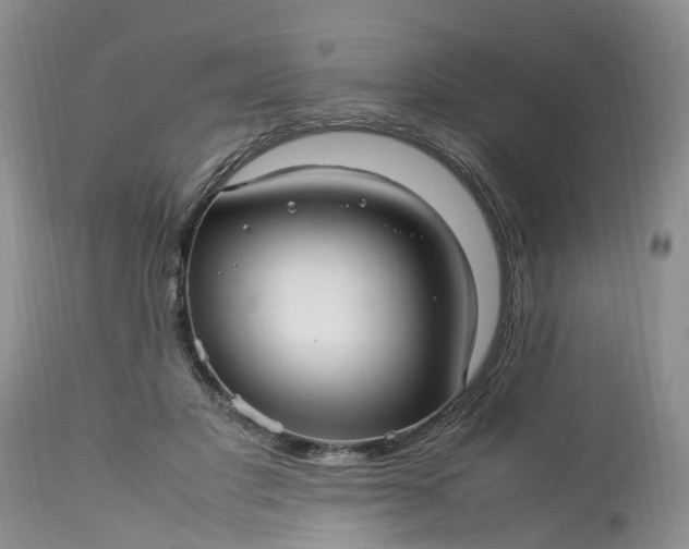 X0000113070501200909110943